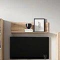 Galeria Neo cambrian