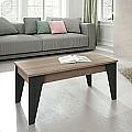 Mesa centro elevable 43