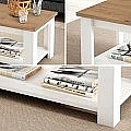Mesa centro elevable 20