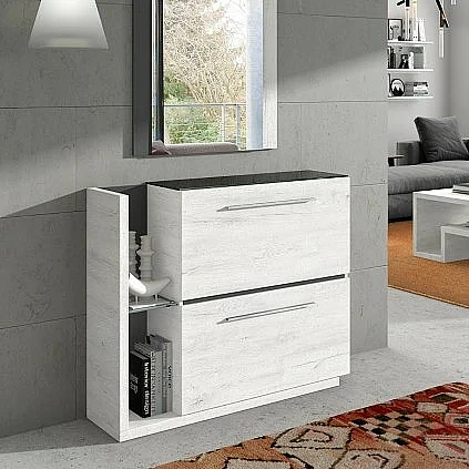 MUEBLE ZAPATERO 2 PTAS. ABATIBLES VA4002