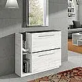 MUEBLE ZAPATERO 2 PTAS. ABATIBLES VA4002