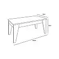 Mesa centro elevable 43